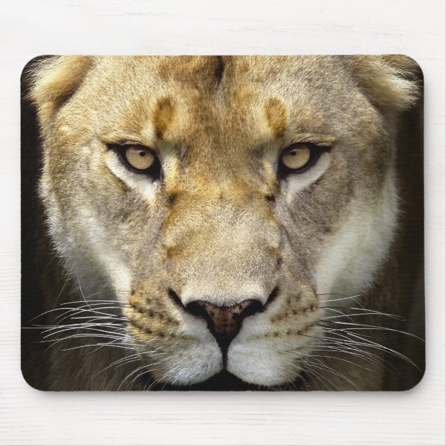 Mousepad O Rei (Frente)