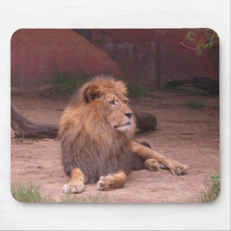Mousepad O rei da selva