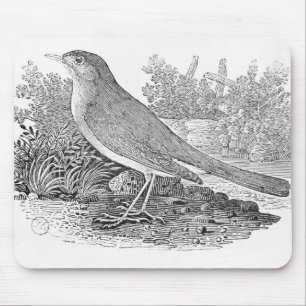 Mousepad O rouxinol