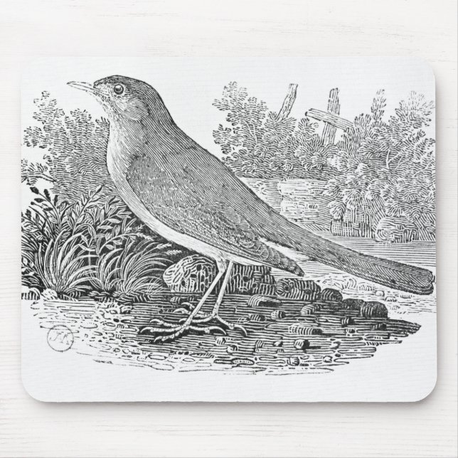Mousepad O rouxinol (Frente)