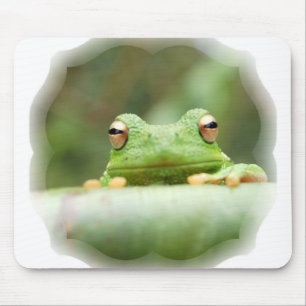 Mousepad O sapo Eyes o tapete do rato