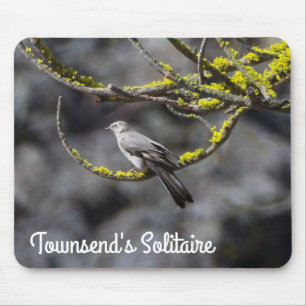Mousepad O Solitário de Townsend