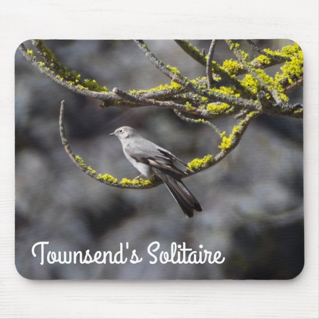 Mousepad O Solitário de Townsend (Frente)
