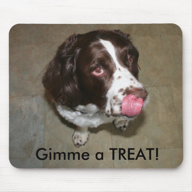 Mousepad O Spaniel de Springer inglês, Otis quer um (Frente)