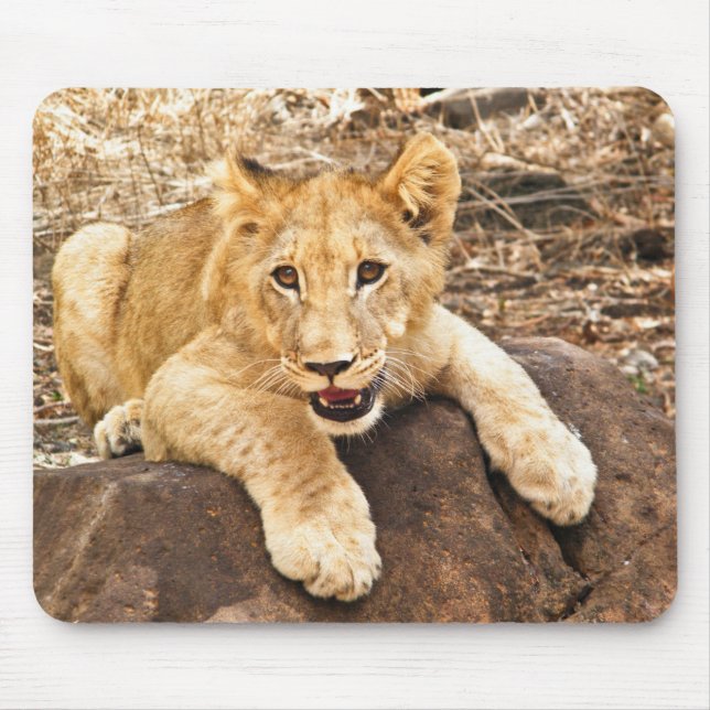Mousepad O tigre Cub toma o respiradouro em uma rocha (Frente)