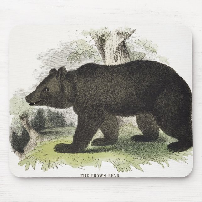 Mousepad O urso de Brown, bar educacional da ilustração. (Frente)