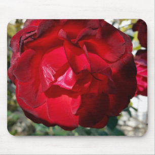 Mousepad O vermelho do outono
