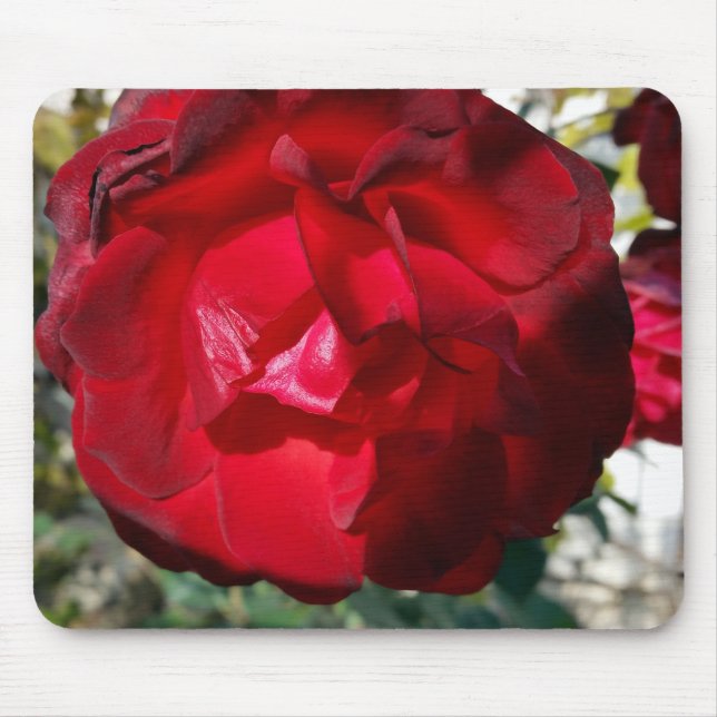 Mousepad O vermelho do outono (Frente)