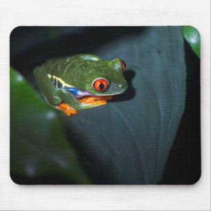 Mousepad O vermelho Eyes o assento do sapo