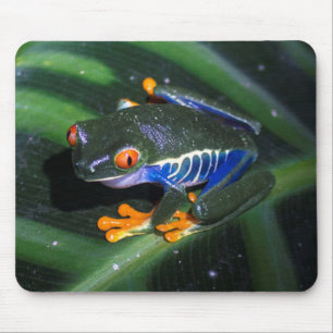 Mousepad O vermelho Eyes o sapo na folha