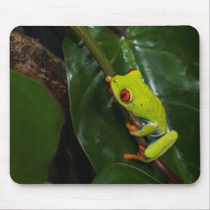 Mousepad O vermelho Eyes o sapo na haste