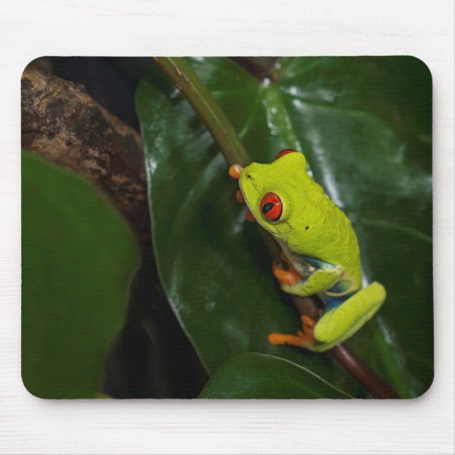 Mousepad O vermelho Eyes o sapo na haste (Frente)