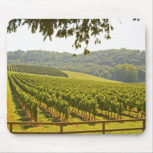 Mousepad O vinhedo e um vale com floresta
