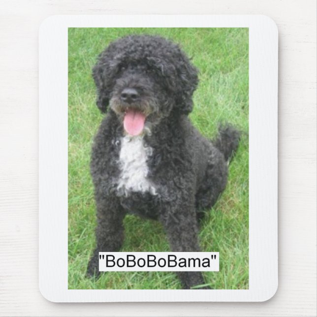 Mousepad Obama Pet/Cão de Água Português (Frente)