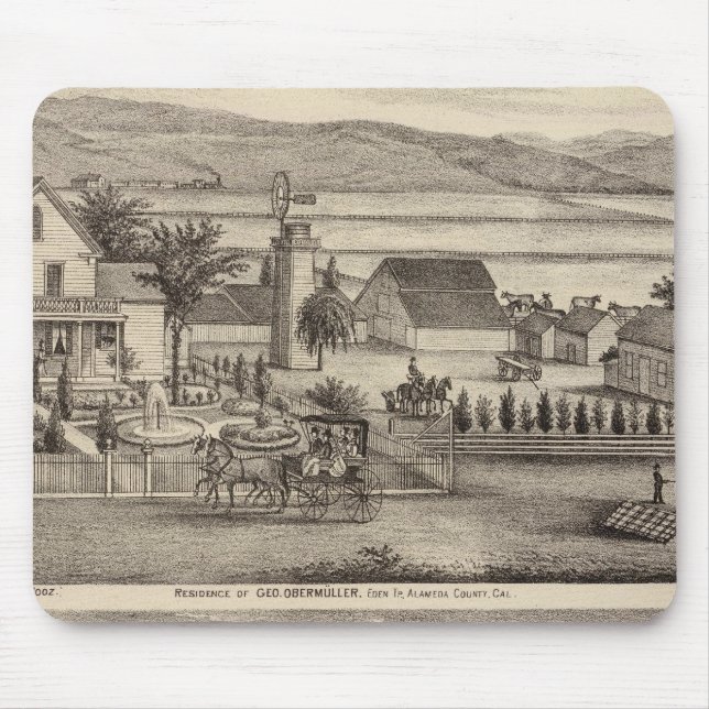 Mousepad Obermuller, residências selvagens (Frente)