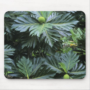 Mousepad Oceania, Pacífico Sul, Polinésia Francesa,