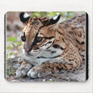 Mousepad Ocelot 02 11x11