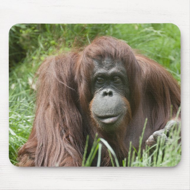 Mousepad Oconsoante Utan Lady (Frente)