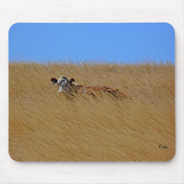 Mousepad ocultar e procurar (Frente)