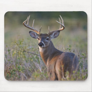 Mousepad Odocoileus virginianus) 2