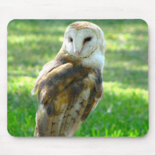 Mousepad Oh coruja de celeiro