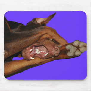 Mousepad OH NENHUM eu não posso olhar…