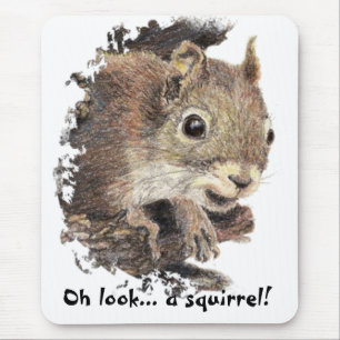 Mousepad Oh olhar… um esquilo! Humor da atenção