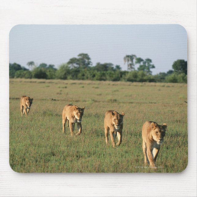 Mousepad Okavango Delta, Botsuana 4 (Frente)