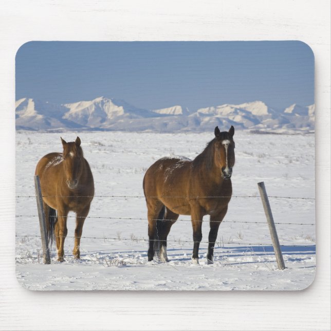 Mousepad okotoks, alberta, canadá (Frente)