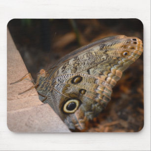 Mousepad Olá!!