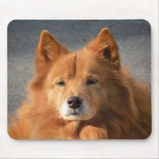 Mousepad Olá!