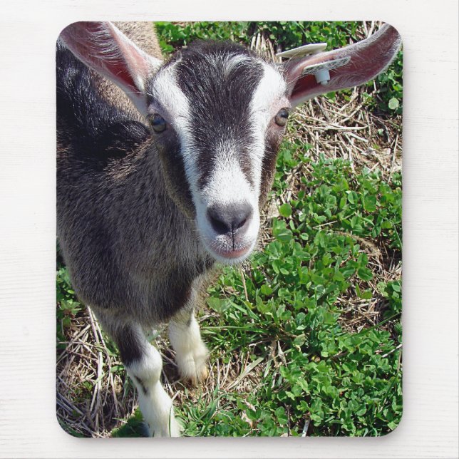 Mousepad Olá, Goat (Frente)