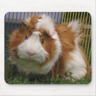 Mousepad Olá! lá! (o Mousepad)