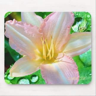 Mousepad "Olá, sou uma flor bonita", rato-pad