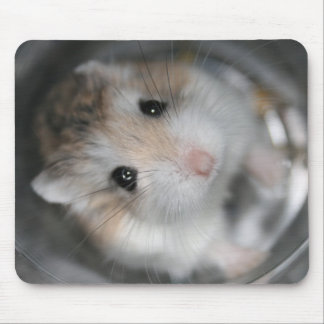 Mousepad Olhando acima - Tac Mousemat