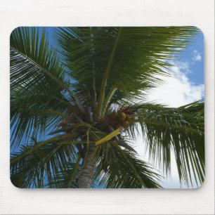 Mousepad Olhando para a natureza tropical da árvore de pal