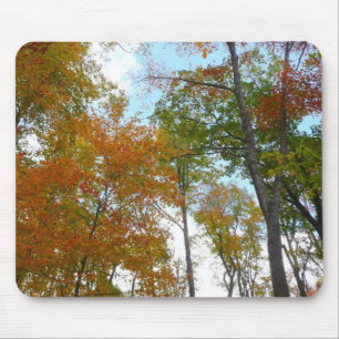 Mousepad Olhando para Cima para Folhas de Outono I Folhagem