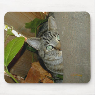 Mousepad Olhando seu rato