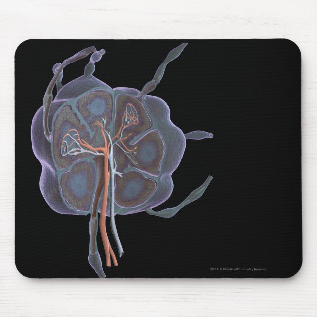Mousepad Olhar ampliado de um nó de linfa (Frente)
