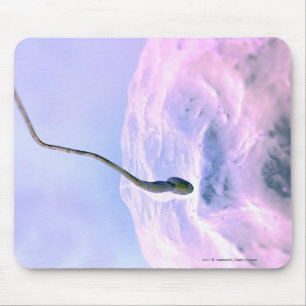 Mousepad Olhar ampliado em um esperma que fertiliza um ovo
