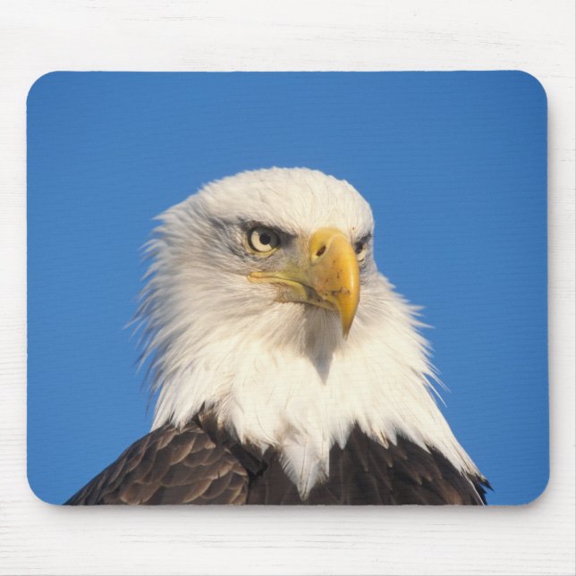 Mousepad Olhar de Águia Americana (Frente)