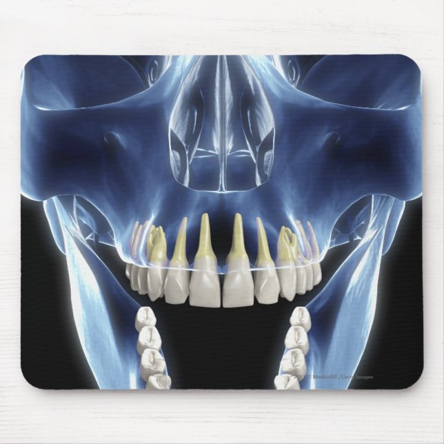 Mousepad Olhar do estilo do raio X nos dentes humanos (Frente)