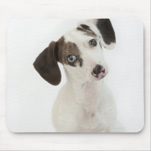 Mousepad Olhar fixamente fêmea do filhote de cachorro do