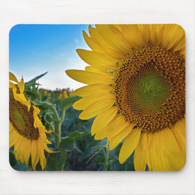 Mousepad Olhar Mais Perto (Frente)