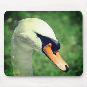 Mousepad Olhar Para A Natureza Do Cisne Dos Reis