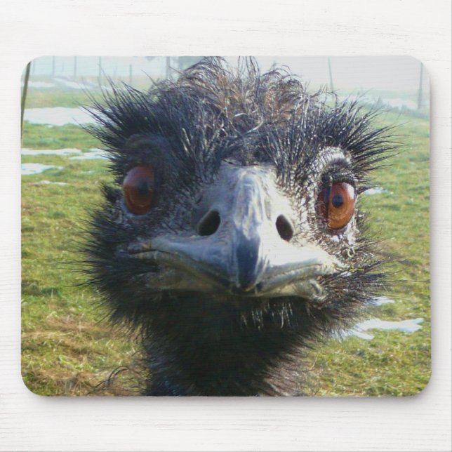 Mousepad Olhos Beady EMU (Frente)