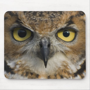 Mousepad Olhos da coruja