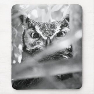 Mousepad Olhos da Floresta (Coruja-buraqueira)