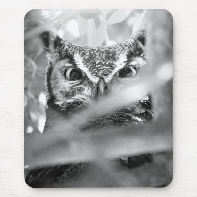 Mousepad Olhos da Floresta (Coruja-buraqueira) (Frente)