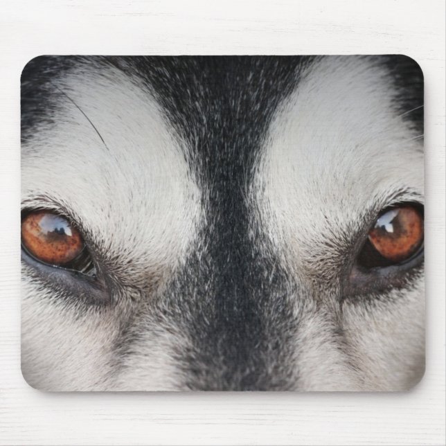 Mousepad Olhos de Brown do cão do Malamute (Frente)